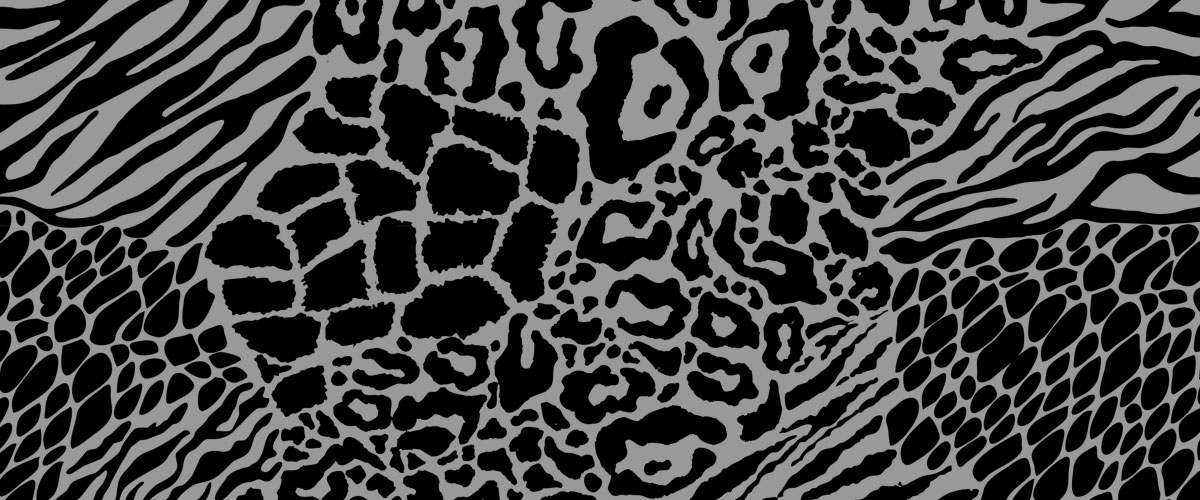 citizen_science_lab_header_zoology Citizen Science Lab Zoology